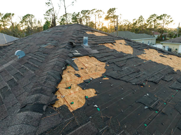 Best Sheet Metal Roofing  in North St Paul, MN