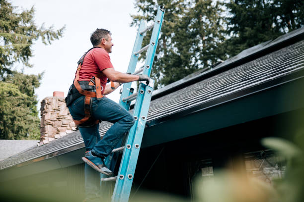 Best Sheet Metal Roofing  in North St Paul, MN